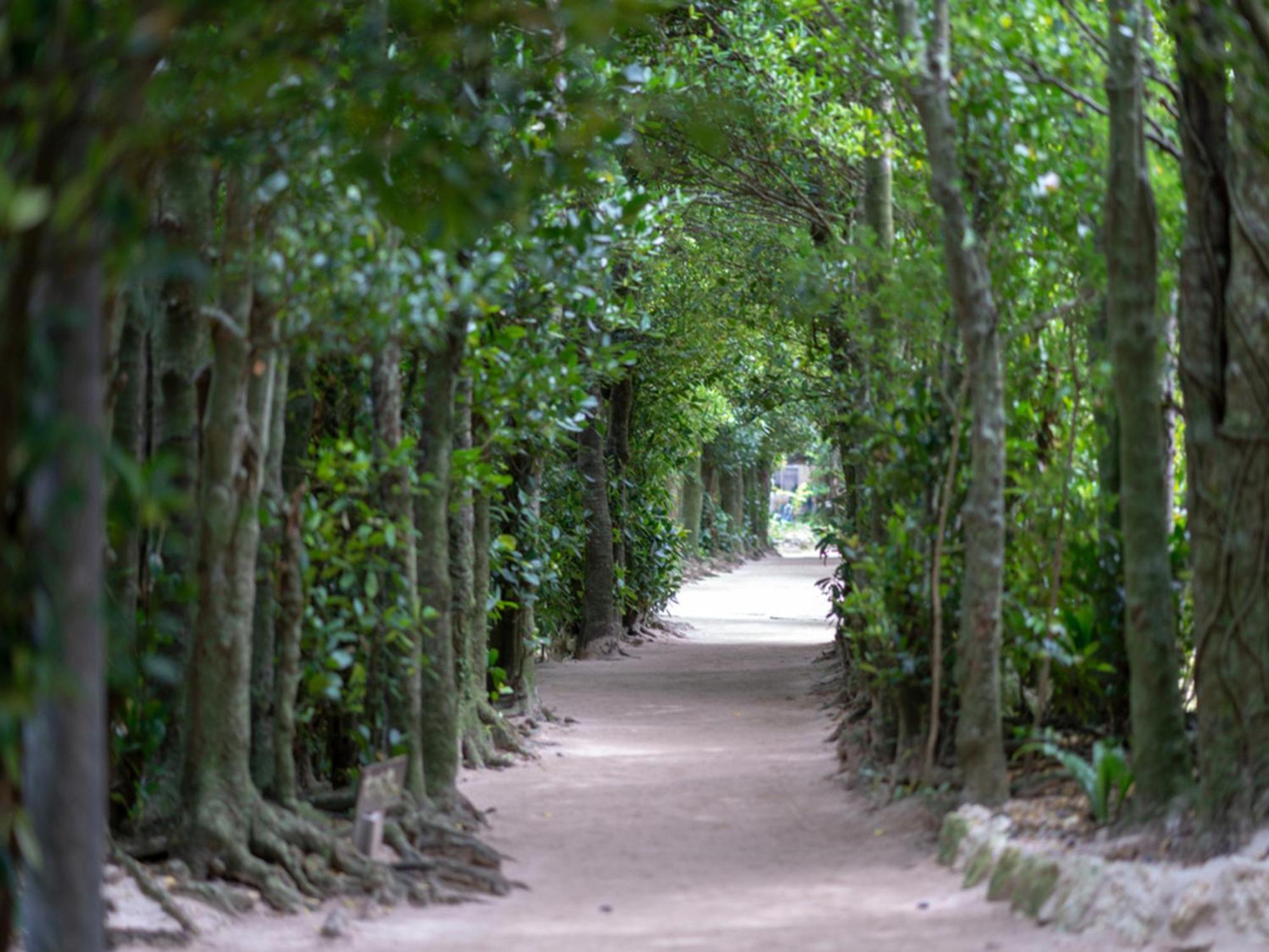 The Orion Hotel Motobu Resort & Spa Exterior photo